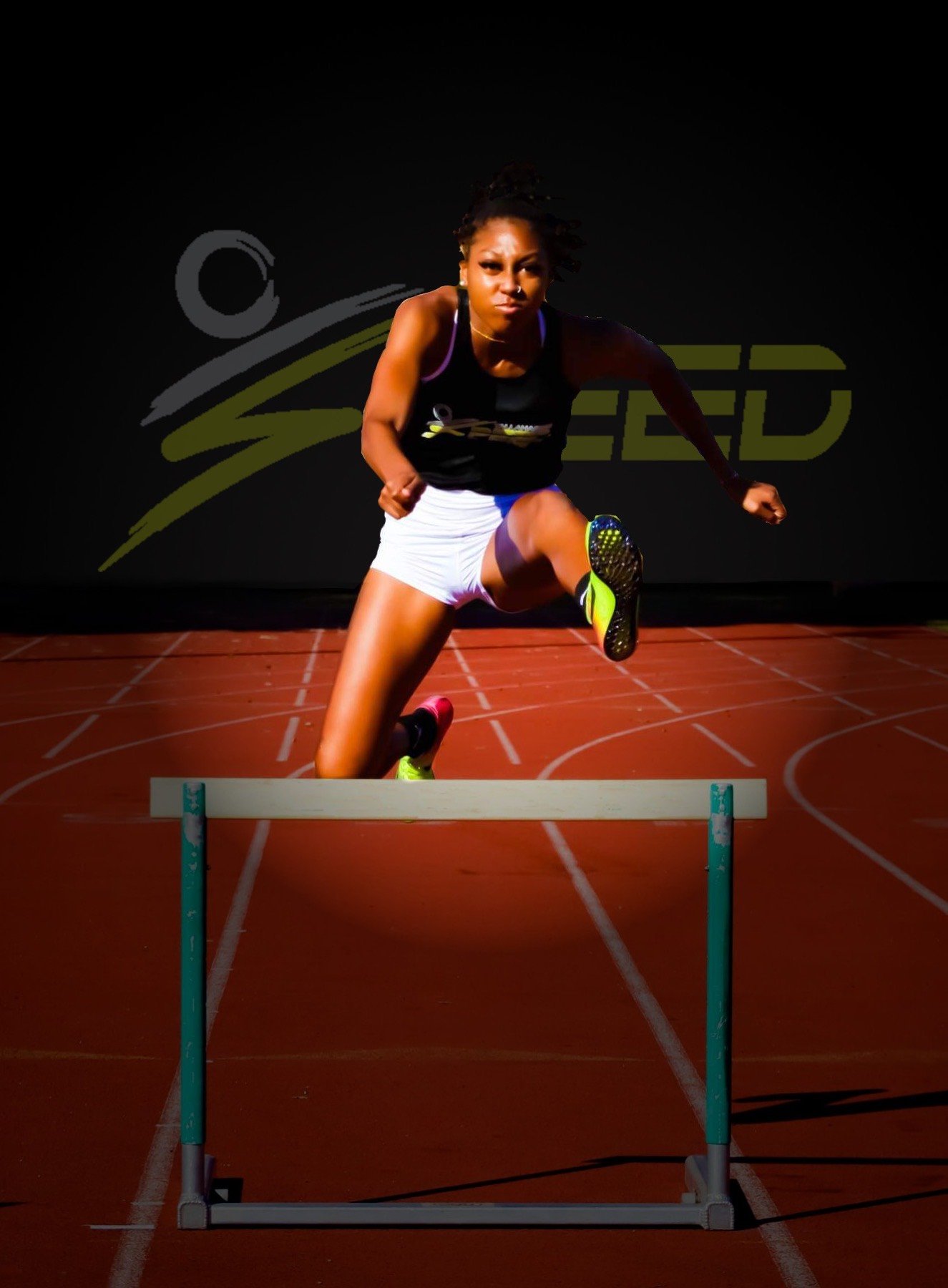 Hurdle training